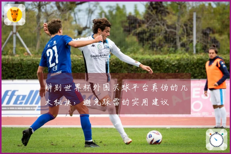 辨别世界杯外围买球平台真伪的几大秘诀，避免踩雷的实用建议