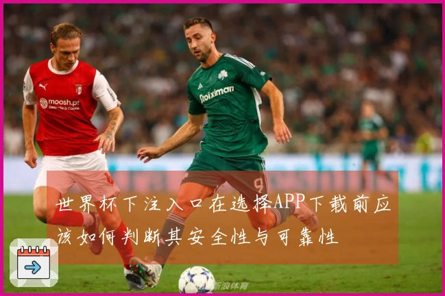 世界杯下注入口在选择APP下载前应该如何判断其安全性与可靠性