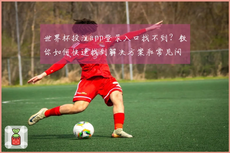 世界杯投注app登录入口找不到？教你如何快速找到解决方案和常见问题处理指南