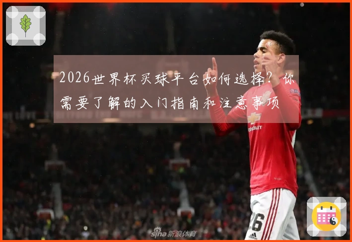 2026世界杯买球平台如何选择？你需要了解的入门指南和注意事项