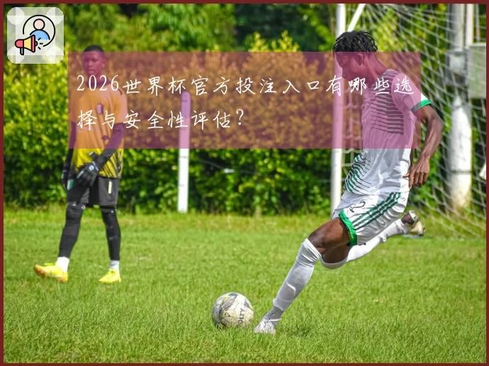 2026世界杯官方投注入口有哪些选择与安全性评估？