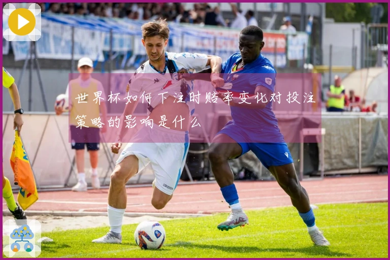 世界杯如何下注时赔率变化对投注策略的影响是什么