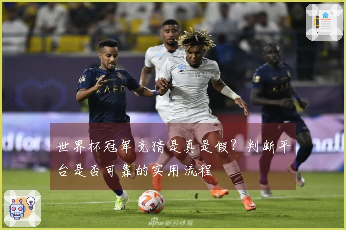 世界杯冠军竞猜是真是假？判断平台是否可靠的实用流程