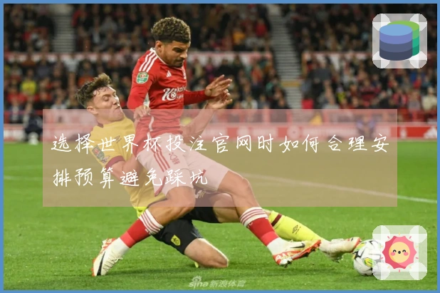 选择世界杯投注官网时如何合理安排预算避免踩坑