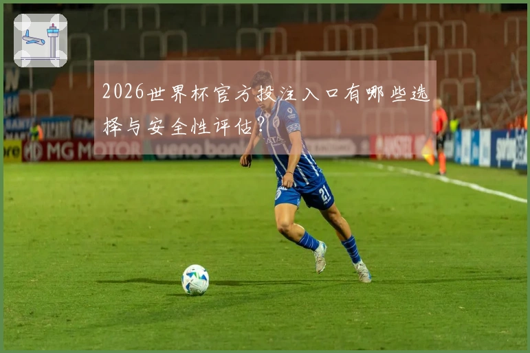 2026世界杯官方投注入口有哪些选择与安全性评估？