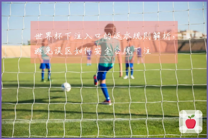 世界杯下注入口的返水规则解析，避免误区如何安全合规下注
