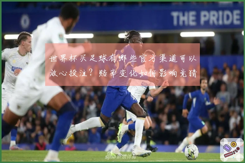 世界杯买足球有哪些官方渠道可以放心投注？赔率变化如何影响竞猜策略